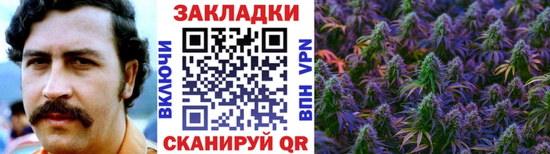 Где можно купить наркотики Урус-Мартан АМФ  МЕТАДОН  A PVP  Каннабис  КЕТАМИН  COCAIN  blacksprut вход  Гашиш  Меф мяу мяу 