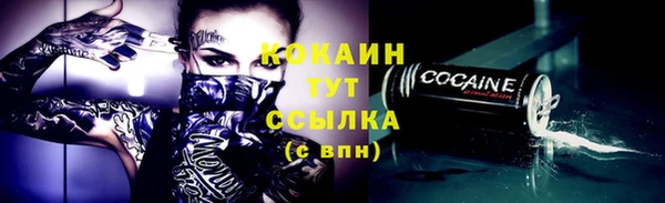 МДПВ Лиски