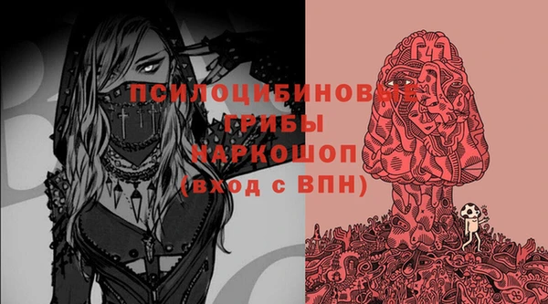 МДПВ Лиски