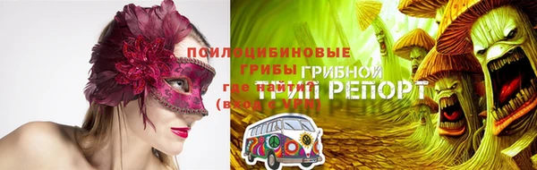 МДПВ Лиски